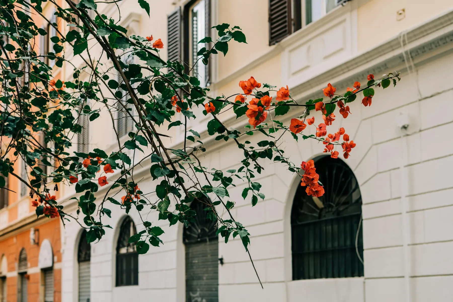 Residential facade in Borgo, Rome